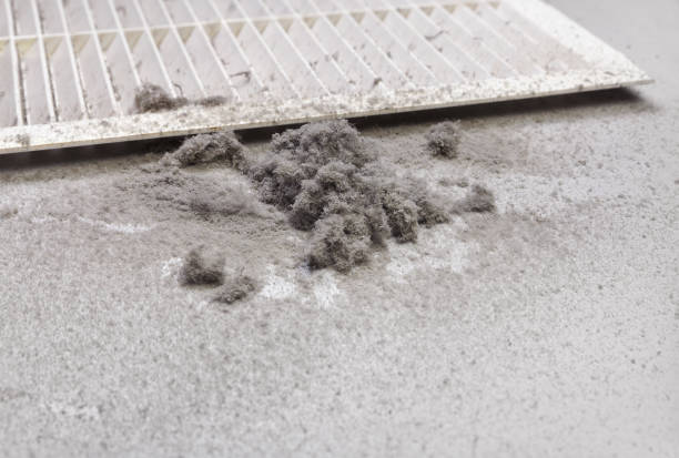 Best Air Duct Cleaning Near Me  in Walnut Grove, CA
