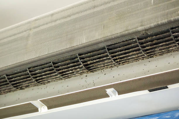 Best Local Air Duct Cleaning Services  in Walnut Grove, CA